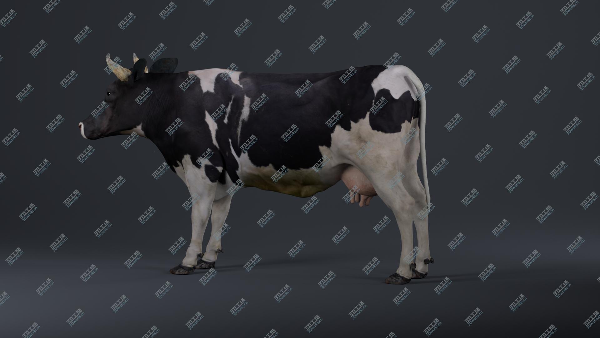 images/goods_img/202104093/Holstein Cow 3D model/2.jpg